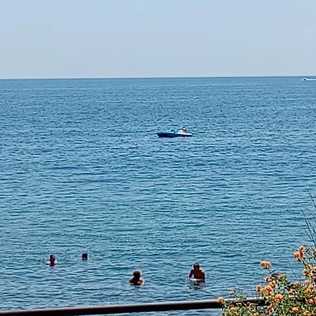 Mamis * Κατάνια
